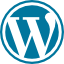 WordPress Support & Fixes